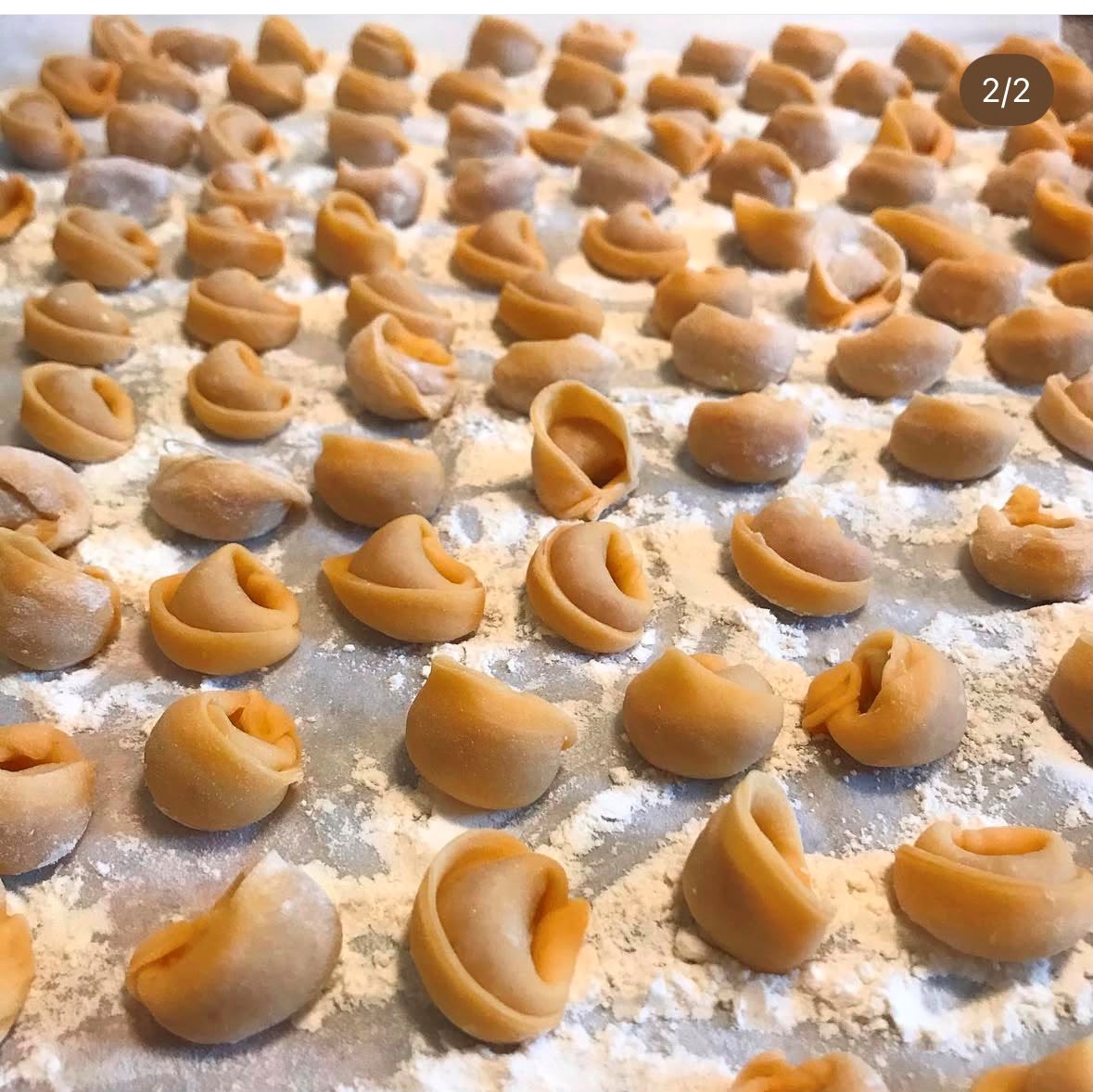 Family cappelletti photograph